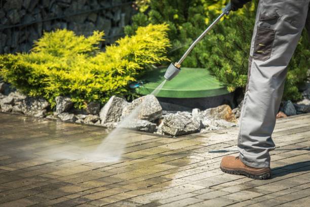 Best Fence Cleaning  in Dayton, TX